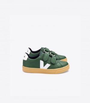 Veja Esplar Läder Sneakers Barn Gröna Vita | IUB-3093
